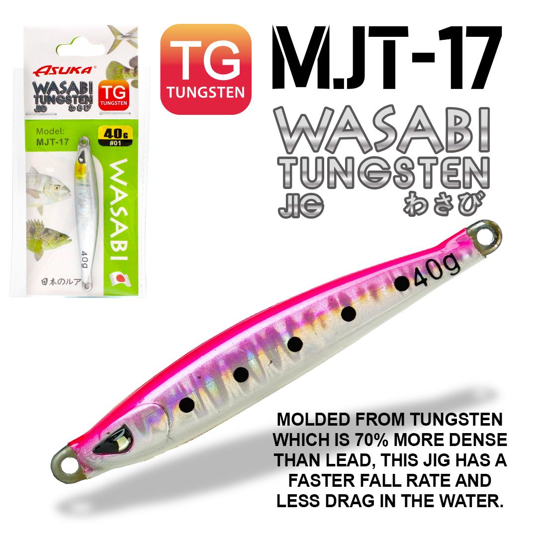 Asuka Fishing  | Asuka Tungsten Jig MJT-17